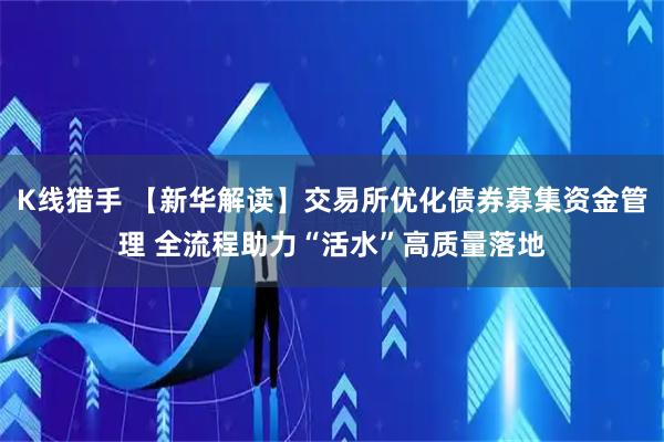 K线猎手 【新华解读】交易所优化债券募集资金管理 全流程助力“活水”高质量落地