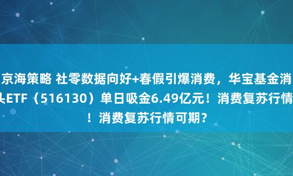京海策略 社零数据向好+春假引爆消费，华宝基金消费龙头ETF（516130）单日吸金6.49亿元！消费复苏行情可期？