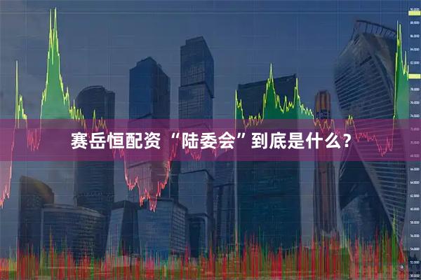 赛岳恒配资 “陆委会”到底是什么？