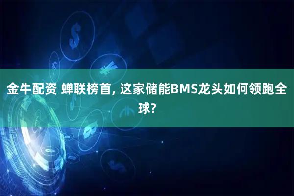 金牛配资 蝉联榜首, 这家储能BMS龙头如何领跑全球?