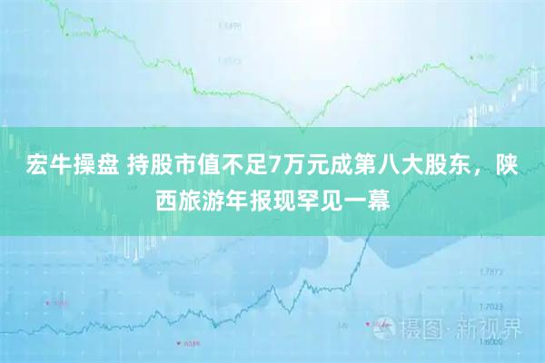 宏牛操盘 持股市值不足7万元成第八大股东，陕西旅游年报现罕见一幕