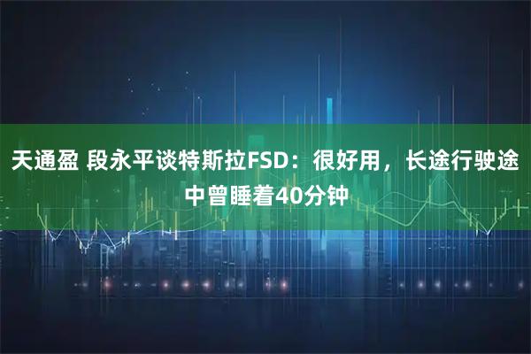 天通盈 段永平谈特斯拉FSD：很好用，长途行驶途中曾睡着40分钟